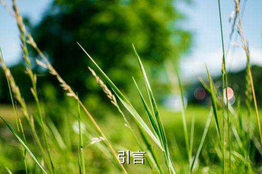 引言