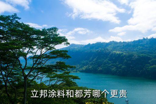 立邦涂料和都芳哪个更贵