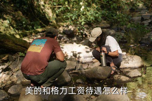 美的和格力工资待遇怎么样