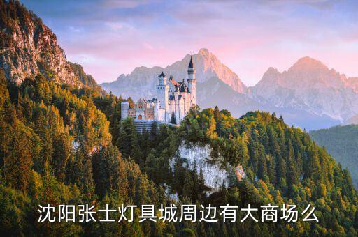 沈阳张士灯具城周边有大商场么