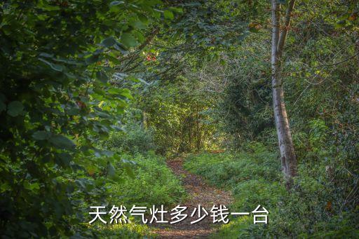 天然气灶多少钱一台