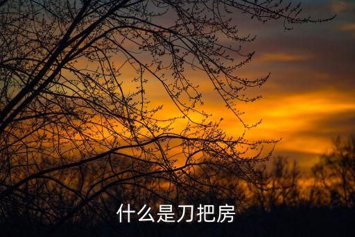 什么是刀把房