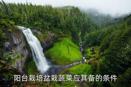 阳台栽培盆栽蔬菜应其备的条件