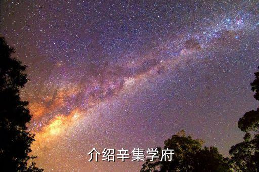 介绍辛集学府