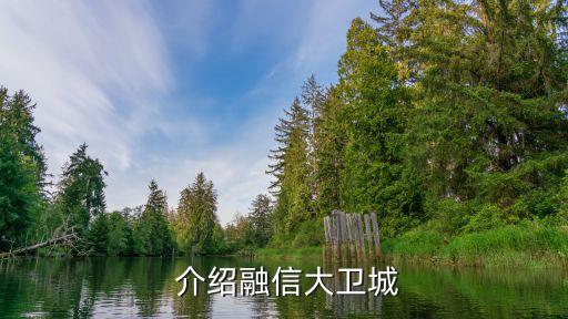 介绍融信大卫城