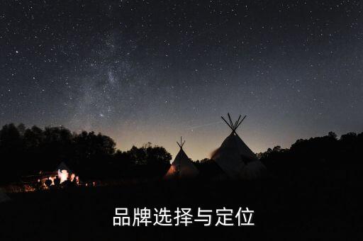 品牌选择与定位