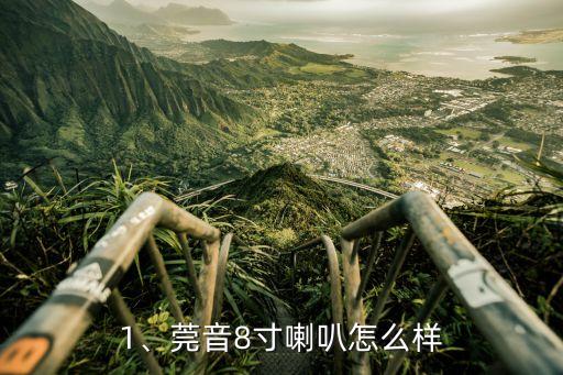 1、莞音8寸喇叭怎么样