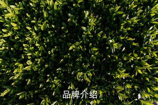 品牌介绍
