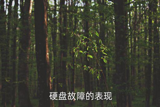硬盘故障的表现