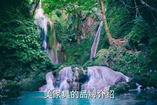 美家具的品牌介绍