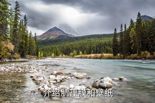 介绍肌理膜和壁纸