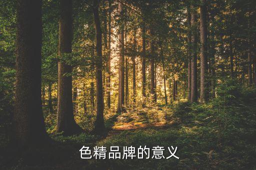 色精品牌的意义