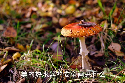 美的热水器的安全闸是什么