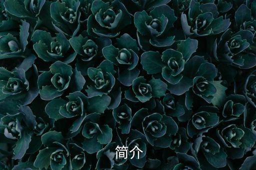 简介