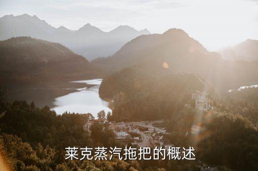 莱克蒸汽拖把的概述