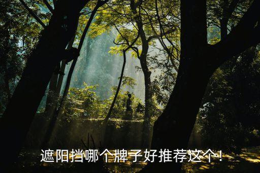 遮阳挡哪个牌子好推荐这个!