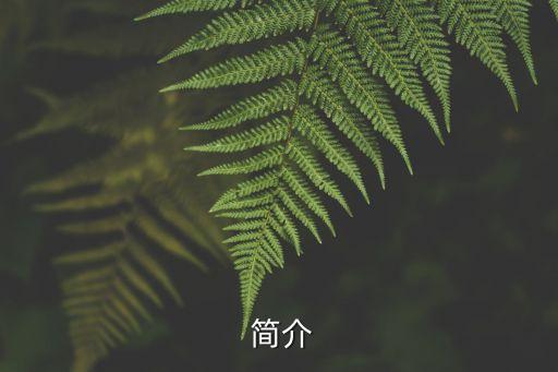 简介