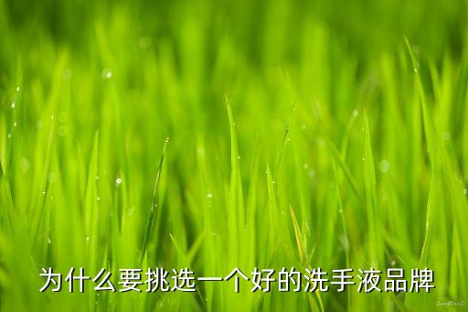 为什么要挑选一个好的洗手液品牌