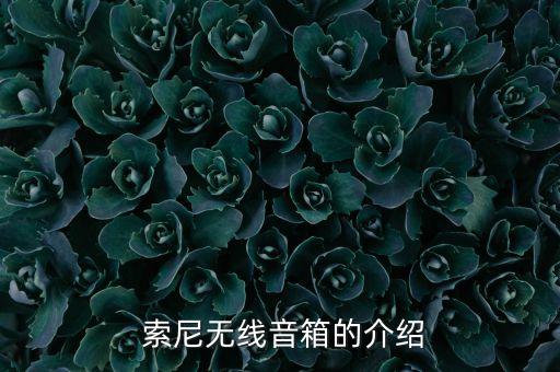 索尼无线音箱的介绍