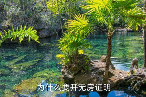 为什么要开无房证明