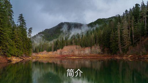 简介