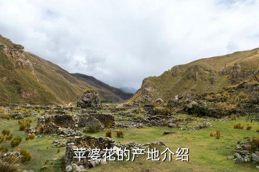 苹婆花的产地介绍