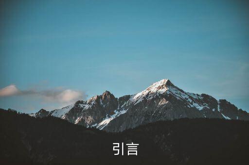 引言