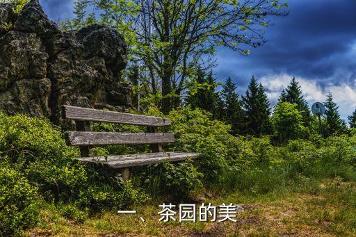 一、茶园的美