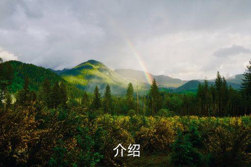 介绍
