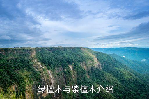绿檀木与紫檀木介绍