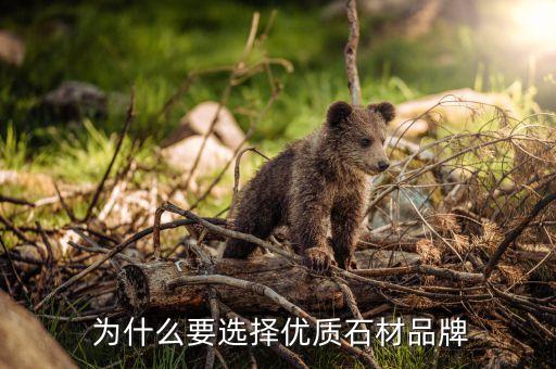 为什么要选择优质石材品牌
