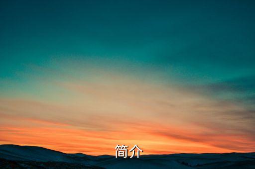 简介