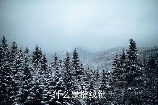 什么是指纹锁