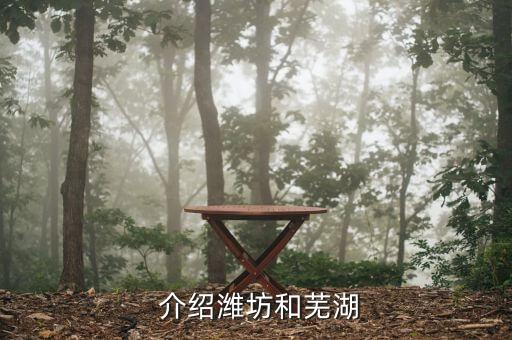 介绍潍坊和芜湖