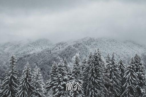 简介