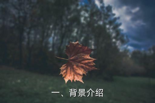 一、背景介绍