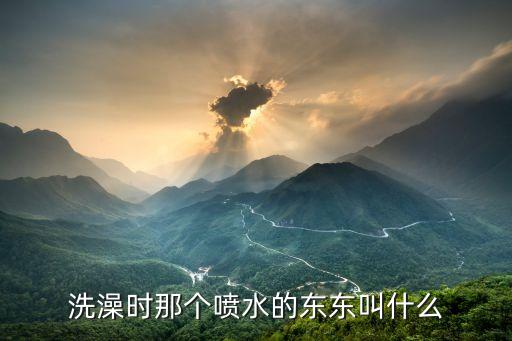 洗澡时那个喷水的东东叫什么