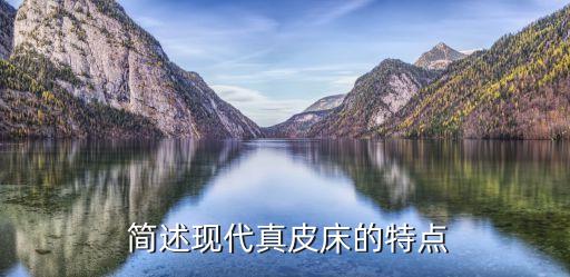 简述现代真皮床的特点