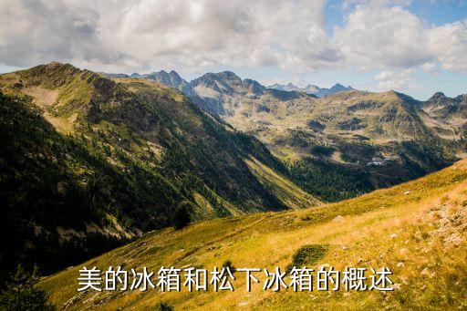 美的冰箱和松下冰箱的概述