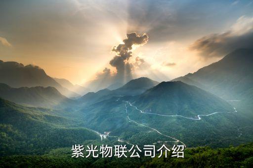紫光物联 怎么样,紫光物联公司介绍与评价