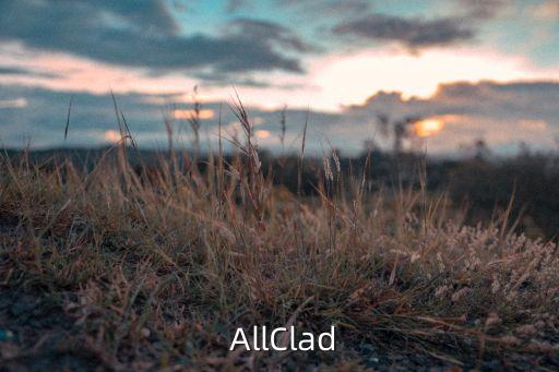 AllClad