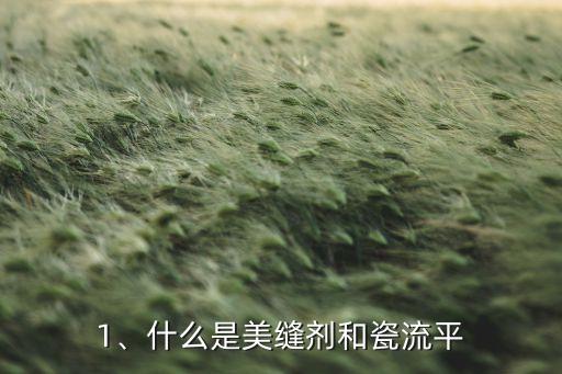 1、什么是美缝剂和瓷流平