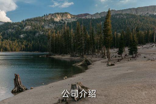 公司介绍