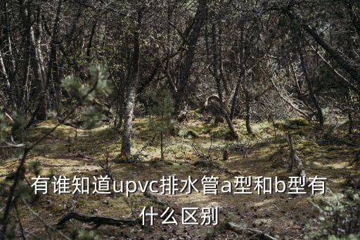 有谁知道upvc排水管a型和b型有什么区别