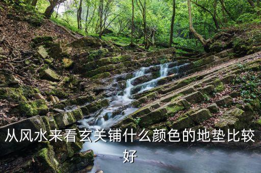 门厅地毯什么颜色好，从风水来看玄关铺什么颜色的地垫比较好