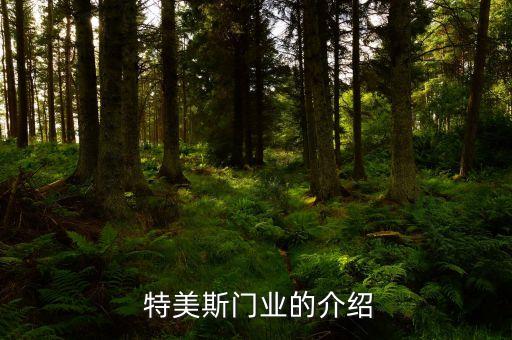 特美斯门业的介绍