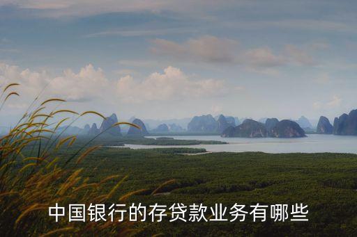 中国银行的存贷款业务有哪些
