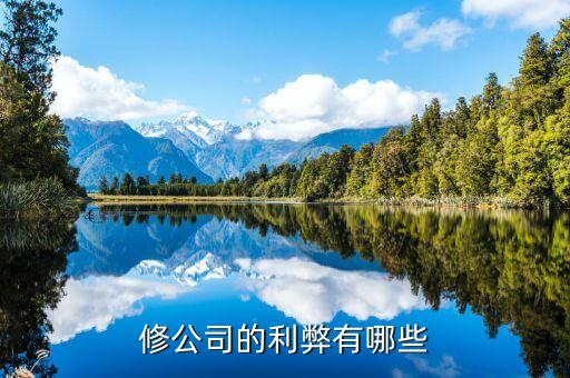 修公司的利弊有哪些
